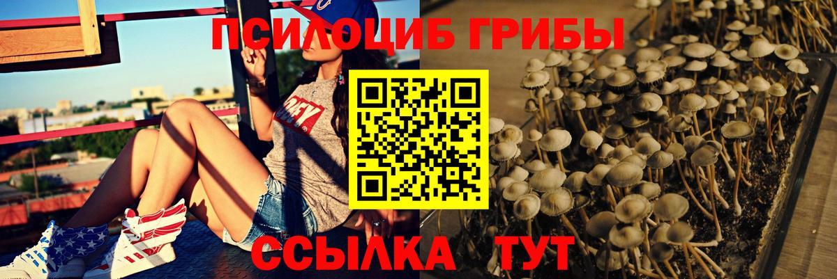 Псилоцибиновые грибы GOLDEN TEACHER  продажа наркотиков  Когалым  Псилоцибиновые грибы прущие грибы  Вход с VPN 